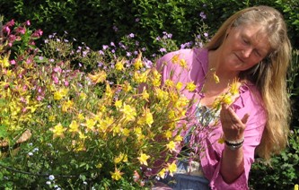 Carrie with Aquilegia pink & yellow double 1061, part of the plant support trial