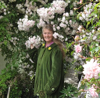 In June Rosa 'Paul's Himalayan Musk' flowers at Touchwood