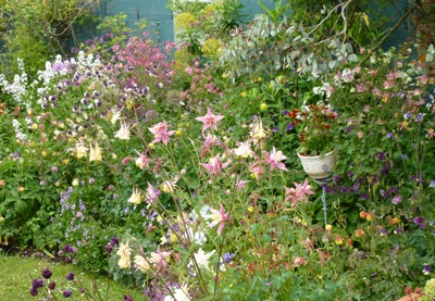 Border adjoining the circular lawn.