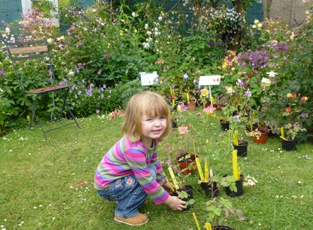 Early training pays dividends in a lifelong interest in gardening.