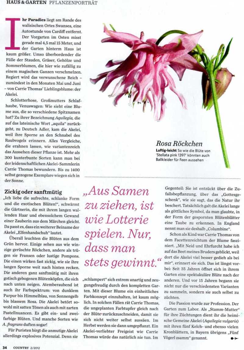 garden magazine germany aquilegia touchwood zauber des zuffalls