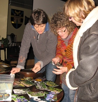 Choosing seeds from photographs at Kidwelly