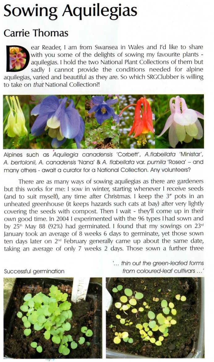 SRGC sowing aquilegias feature article Touchwood The Rock Garden