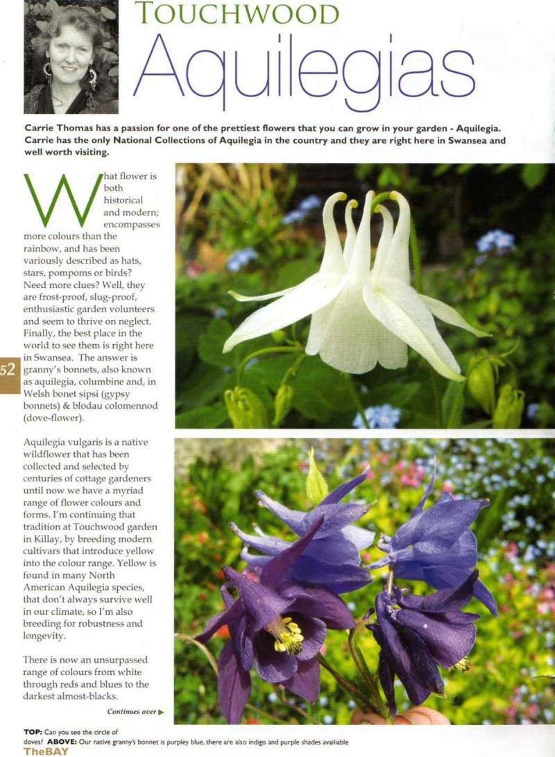 The Bay magazine Gower swansea tourist visit garden open