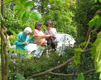 Choosing plants to buy at Touchwood, National Aquilegia Collection