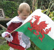 Welsh flag